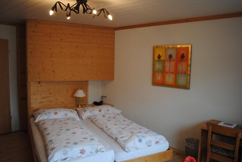 Adler Ag 3*